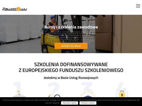 Zawodowy.eu - kurs na operatora wózków widłowych