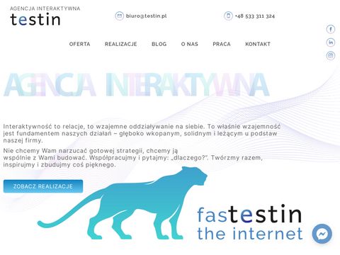 Testin.pl strony internetowe