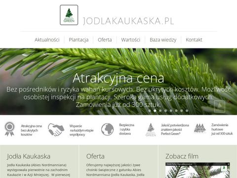 Jodlakaukaska.pl - najładniejsze drzewka świąteczne