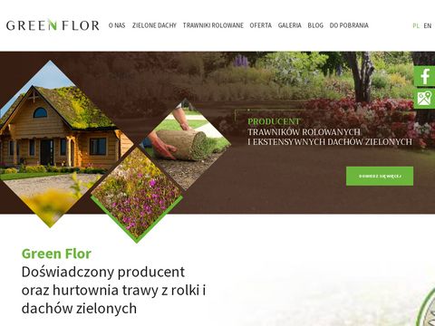 Xero Flor system zielonego dachu