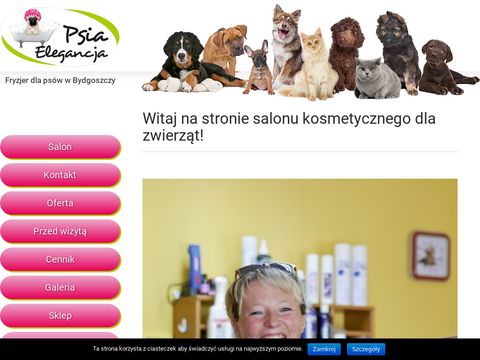 Psia Elegancja - psi fryzjer w Bydgoszczy