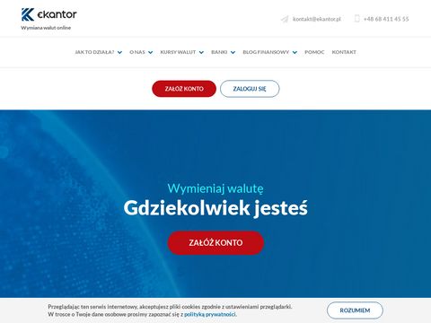 Ekantor.pl - internetowy