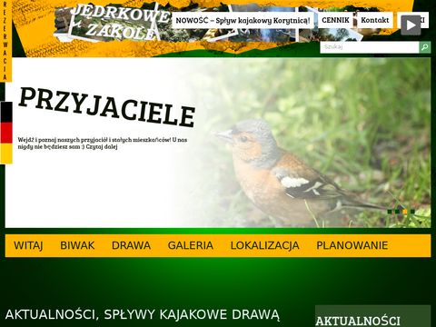 Jedrkowezakole.pl firmowe spływy kajakowe Drawą