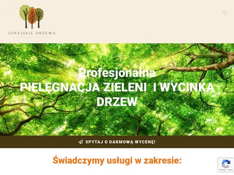 Jurajskiedrzewa.pl wycinka