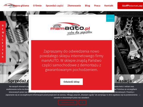 Mamauto.pl skup samochodów
