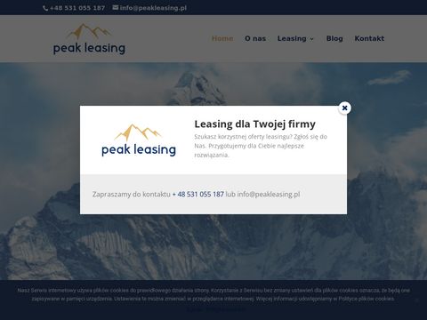 Peakleasing.pl dla firm