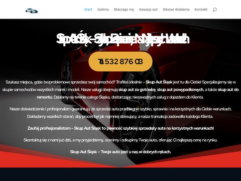 Skupaut24.slask.pl - idealne rozwiązanie