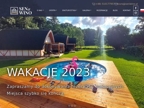 Seniwino.pl - domki z sauną w górach