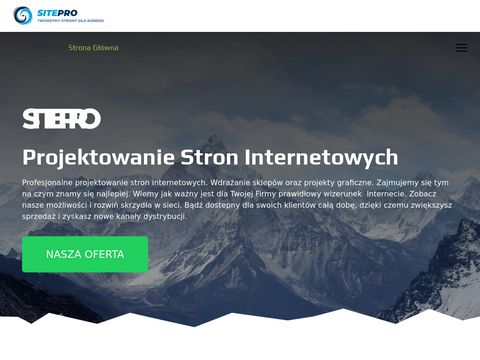 Tworzenie-stron-swidnica.buzzlink.pl