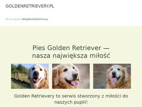 GoldenRetrievery.pl - serwis ogólnotematyczny