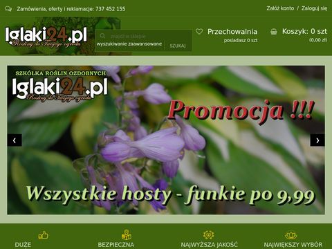 Iglaki24.pl wysyłkowa sprzedaż roślin