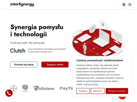 Intersynergy.pl - opieka serwisowa www